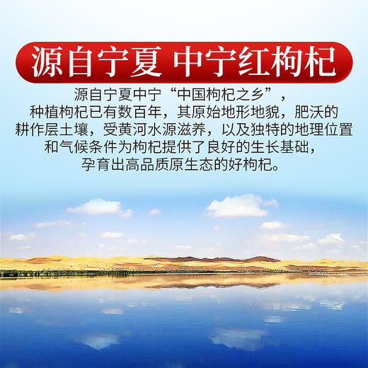 庄民 枸杞 宁夏中宁红枸杞 精选大颗粒好货 花草茶叶泡水 五宝茶搭配伴侣180g/罐 商品图4