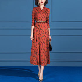 SSGS-42068时尚通勤花色连衣裙