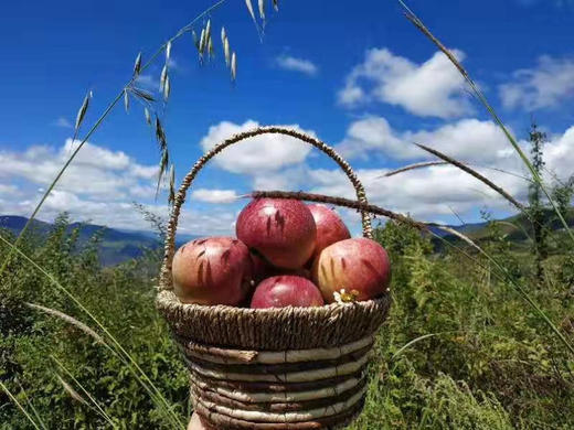 泸沽湖·高山丑苹果开始预售（10月10日以后发货） 商品图2