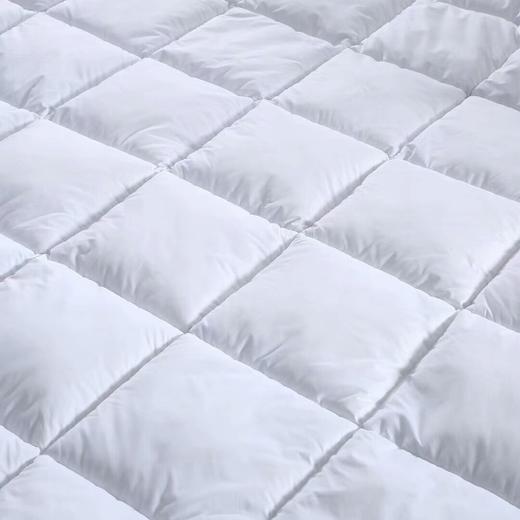 两张魅力红酒卡送一套希尔顿酒店羽绒被-CG 商品图3