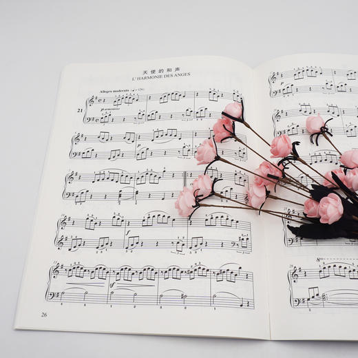 布格缪勒25首钢琴简易进阶练习曲 作品100 音悦人生 钢琴教学系列乐谱 钢琴学习入门乐谱 正版 华东师范大学出版社 商品图2