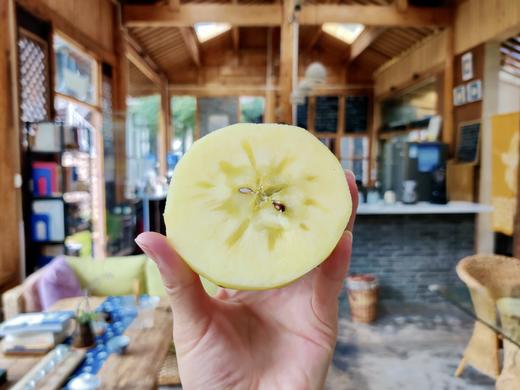 泸沽湖·高山丑苹果开始预售（10月10日以后发货） 商品图3