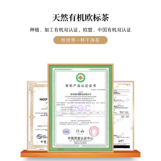 黄红缨乐纷享品鉴茶 商品图4