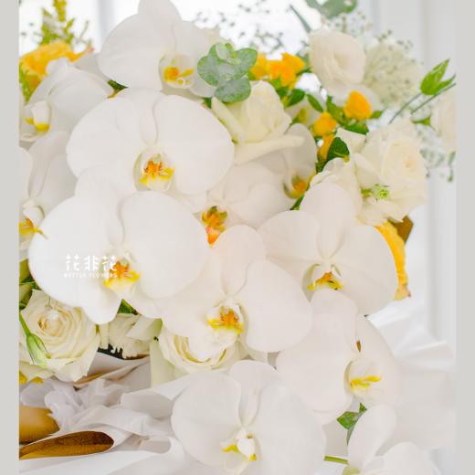 《蝴蝶》-巨型蝴蝶兰花束 商品图3