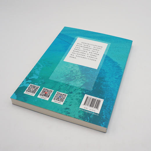 教学诠释学 杨四耕 课堂转型 课堂教学 商品图3