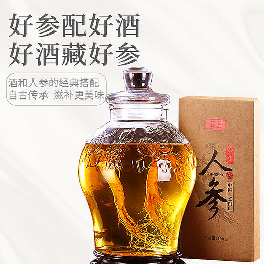 庄民 人参 精选吉林长白山人参礼盒 选用大条型人参 条条精选 每支20克生晒参 可泡白人参酒100g年礼必备 商品图1