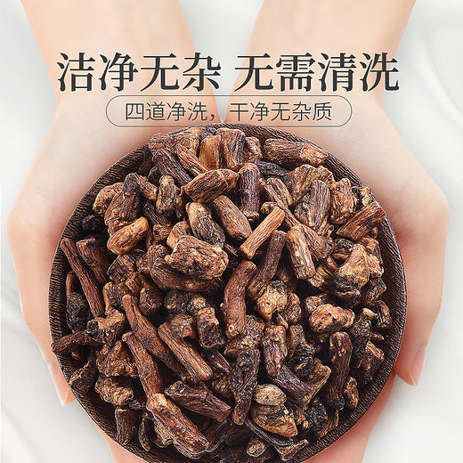 庄民 蒲公英根茶 长白山婆婆丁根茶 浦公英茶 茶叶花草茶泡水 精选好货120g/罐 商品图8