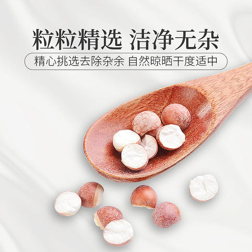 庄民 芡实 红芡实米 鸡头米 精选好货200g/罐 商品图3