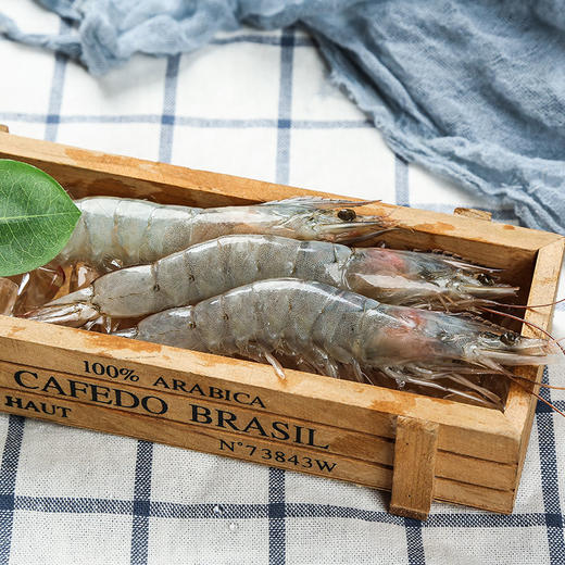 优选|青岛大虾  个大壳薄 肉质紧实  鲜美回甜 净重约3斤 顺丰冷链 商品图1