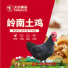 【珠三角包邮】天农岭南土鸡（鲜品） 2.8-3.2斤/只（次日到货） 商品缩略图1
