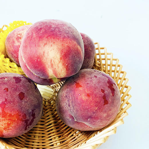 快递发货金秋红蜜净重45斤912个果