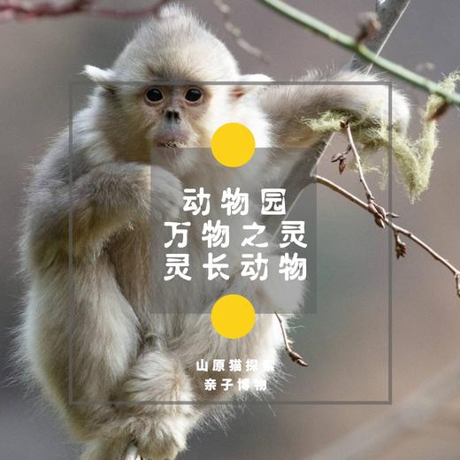 「11月28日 周六上午」万物之灵 · 灵长动物 - 北京动物园探秘