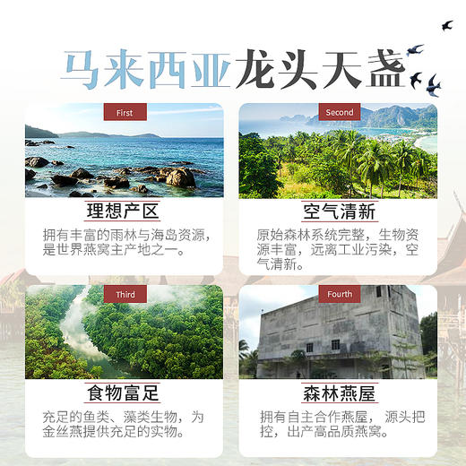 庄民 燕窝 7A干燕窝白燕盏龙头天盏正规马来西亚进口溯源 一盏一码礼盒装50g 商品图4