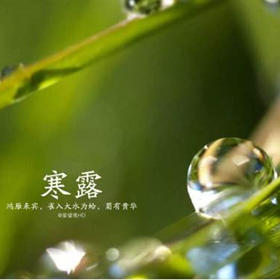 长假归来，如何过好寒露（二）