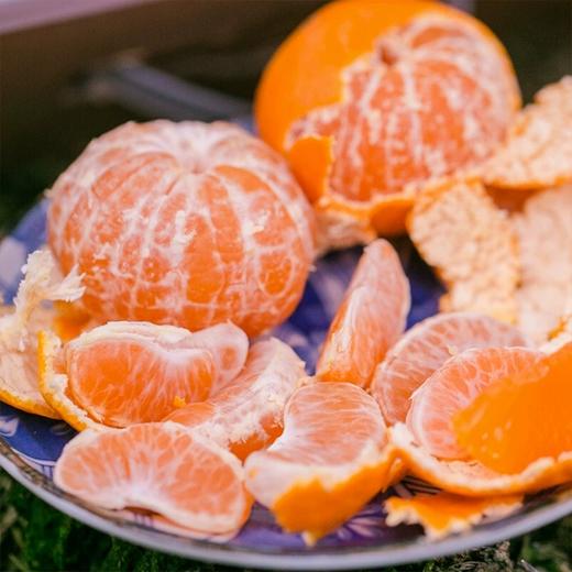 【台州蜜橘】5斤/箱 浙江台州蜜橘 新鲜无核 商品图2