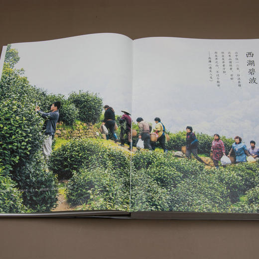 新民说   茶之路  《生活月刊》/著   茶 茶叶 茶师 茶农  历史 商品图3