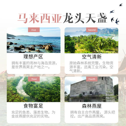 庄民 燕窝 精选5A干燕窝白燕盏50g家庭实惠装 正规马来西亚进口原料溯源正品女人滋补品不刷胶泡发度 顺丰包邮 商品图5