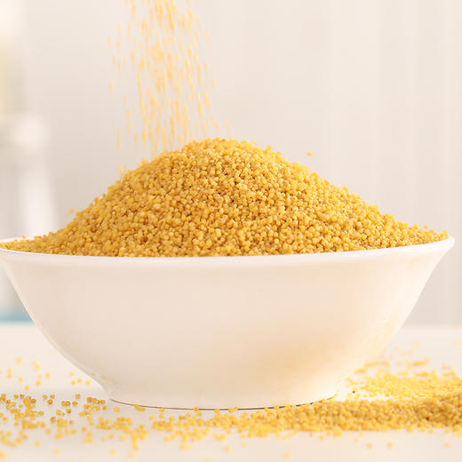 天造地设黄小米400g 内蒙古赤峰 金黄圆润 绵香软糯 商品图3