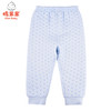 棉果果冬季内衣男童女童提花色织空气层长裤裤子M401200620757 商品缩略图2