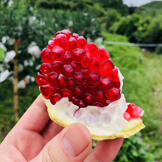 【寻味优果】出口级软籽石榴（特级），果型标准，当季时令，常食抗衰抗氧化，防血管硬化，老少皆宜！ 商品图10