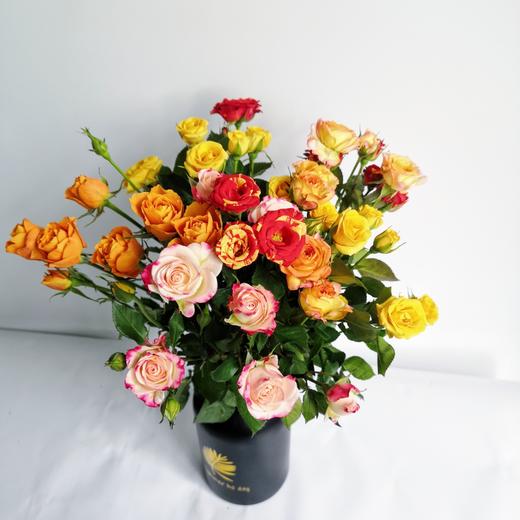 云南鲜花基地直发鲜花鲜切花水养插花混色多头玫瑰泡泡10枝