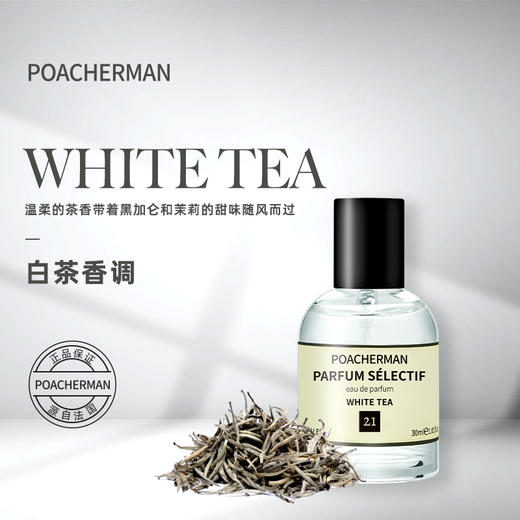 白茶香水茶香清雅怡人 优雅气质清新淡雅留香持久淡香中性香水 商品图1