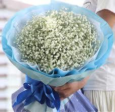 全款预售 商品图0