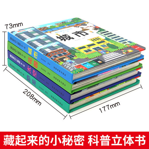 藏起来的小秘密（第二辑 全4册）走进热闹的城市+欣赏多彩的花园+了解有趣的恐龙+探秘奇妙的太空 商品图2