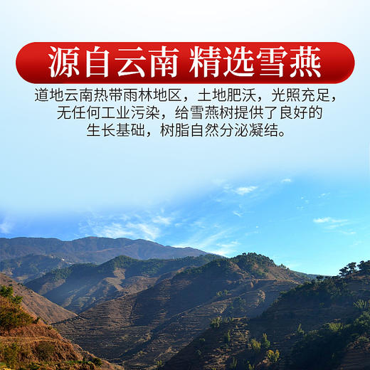 庄民 雪燕 拉丝植物雪燕 精选好货 桃胶雪莲子皂角米燕窝搭配伴侣 独立小包装（5g*6包）/罐 商品图6