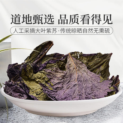 庄民紫苏叶茶干紫苏籽子叶精选好货花草茶叶泡水15g罐