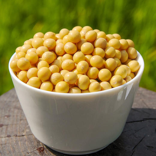 天造地设黄豆330g 黑龙江佳木斯 黄润饱满 豆香浓郁 商品图3