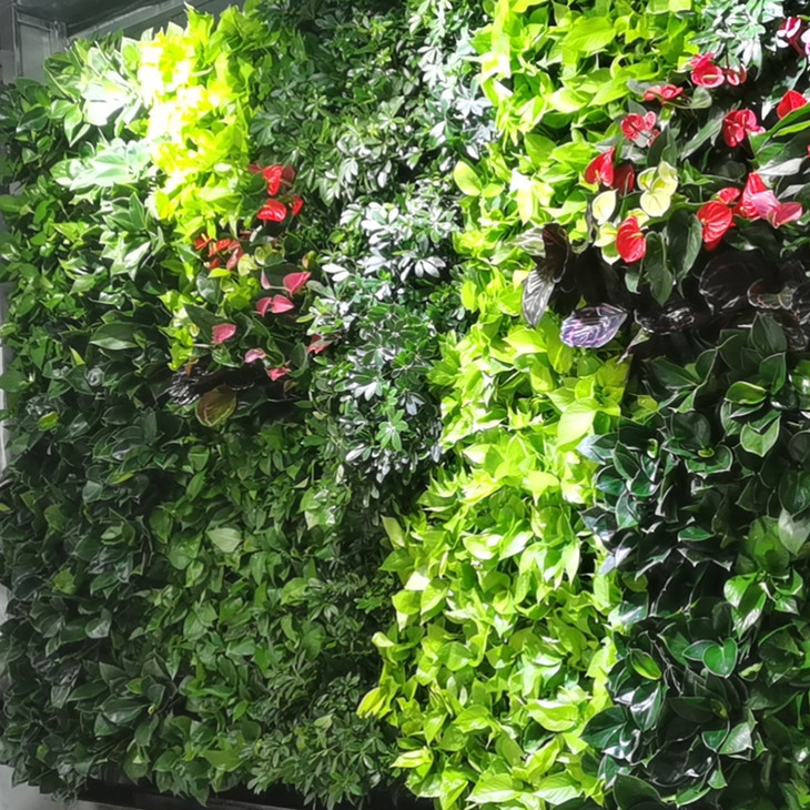 真植物绿植植物墙公司前台大堂绿化装饰水电补光灯肥料泵自动化控制