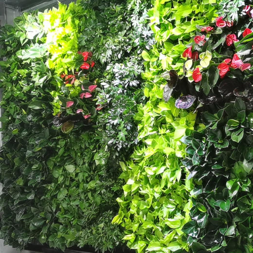 真植物绿植植物墙公司前台大堂绿化装饰水电补光灯肥料泵自动化控制