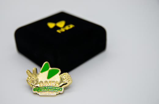 迷笛音乐节20年主题徽章