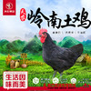 【珠三角包邮】天农岭南土鸡（鲜品） 2.8-3.2斤/只（次日到货） 商品缩略图0