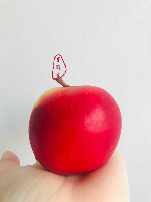 新西兰火箭筒，5枚装/桶，465g规格果！ 商品图0