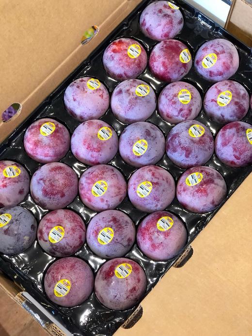 美国恐龙蛋(一个装)(情人李)