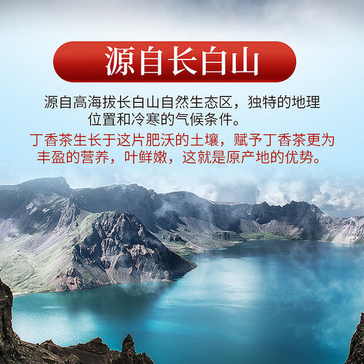 庄民 丁香茶 长白山丁香嫩芽 茶叶花草茶泡水 精选好货40g/罐 商品图4