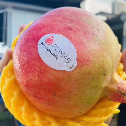 【寻味优果】出口级软籽石榴（特级），果型标准，当季时令，常食抗衰抗氧化，防血管硬化，老少皆宜！ 商品图11