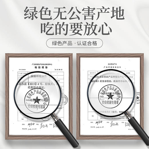 庄民 陈皮礼盒 新会老陈皮干 茶叶花草茶泡水 精选好货300克/盒年货好礼必备 商品图6
