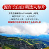 庄民 人参 精选吉林长白山人参礼盒 选用大条型人参 条条精选 每支20克生晒参 可泡白人参酒100g年礼必备 商品缩略图3