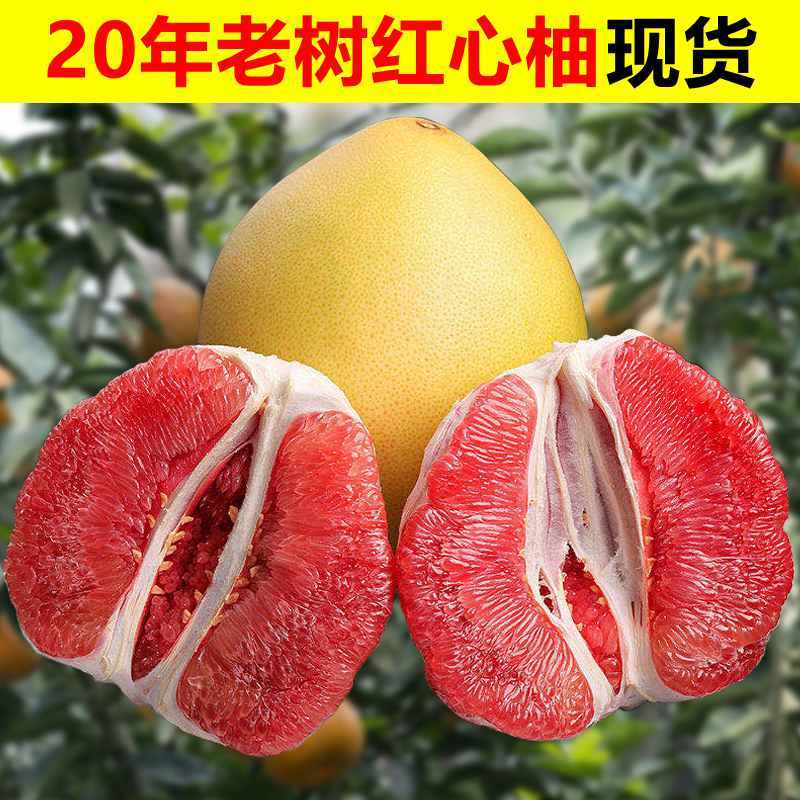 三红蜜柚 1个/约2000g