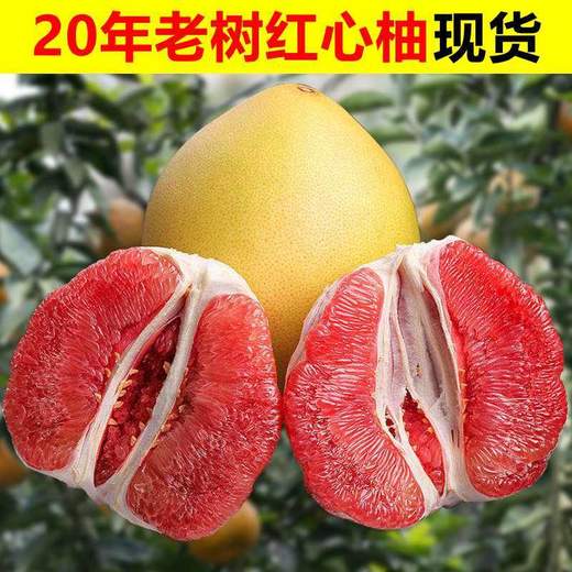 三红蜜柚 1个/约2000g 商品图0