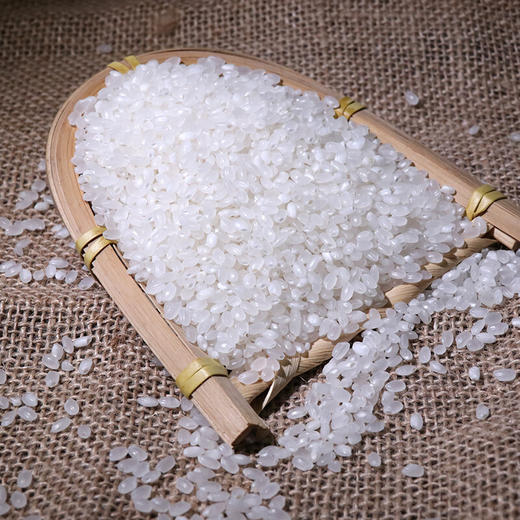 【寒地黑土】东北珍珠米 5斤/10斤包邮  圆粒 珍珠米 黑龙江 大米新米 东北特产 大米 香米 商品图0