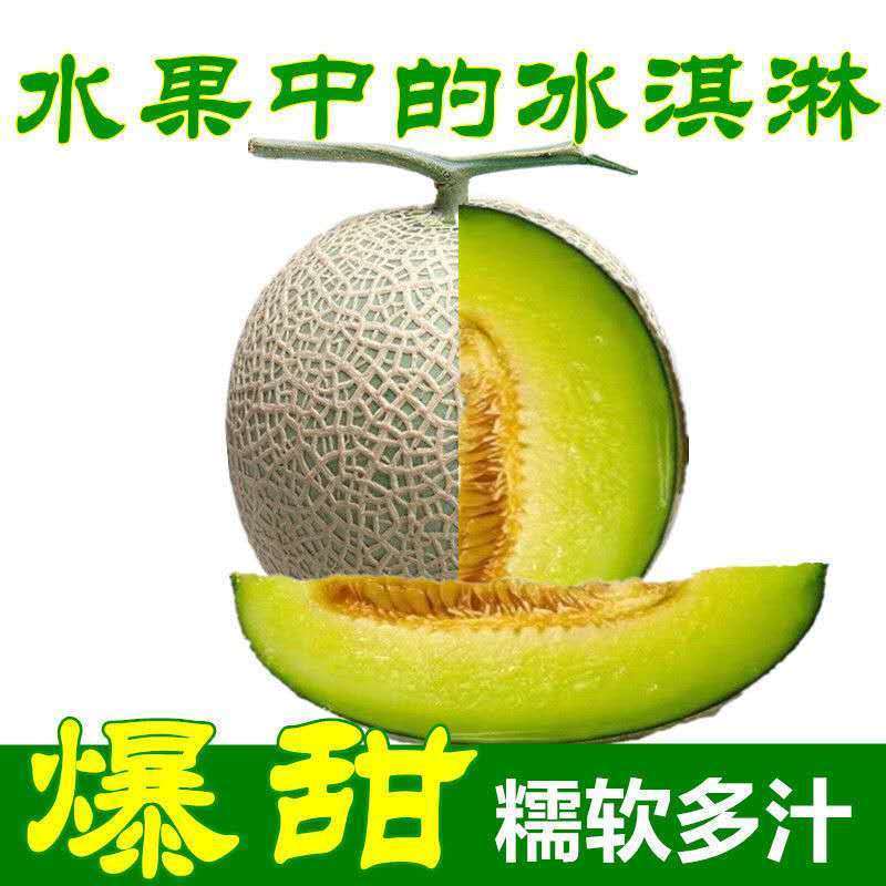 进口网纹瓜 1个/约1200g