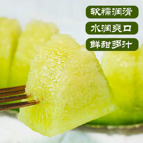 进口网纹瓜 1个/约1200g 商品图1
