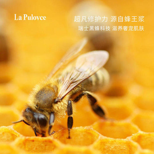 瑞士 拉普瑞斯  蜂皇浆青春面膜(6片/盒） 商品图2