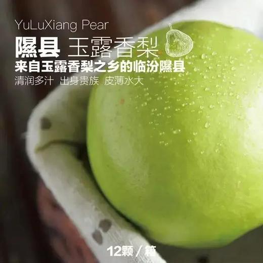 【10.11秒杀专用】玉露香梨 商品图0