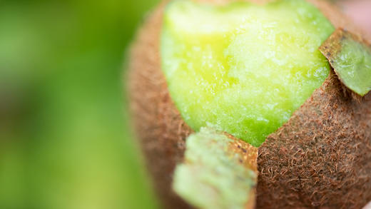 陕西眉县徐香猕猴桃 |（2025_简装） 商品图2