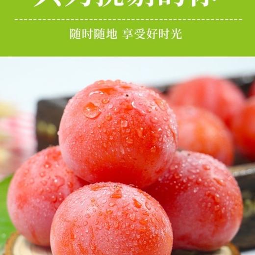 珍珠蜜柿 1盒/约550g 商品图6